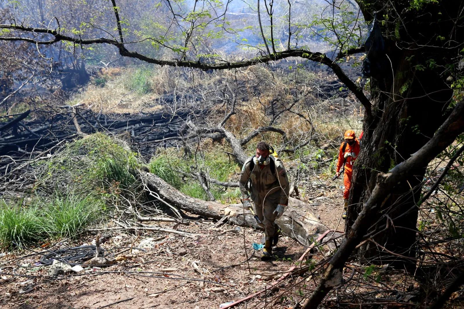 Incêndio no Parque do Cocó foi controlado, mas equipes atuam para evitar o retorno do fogo