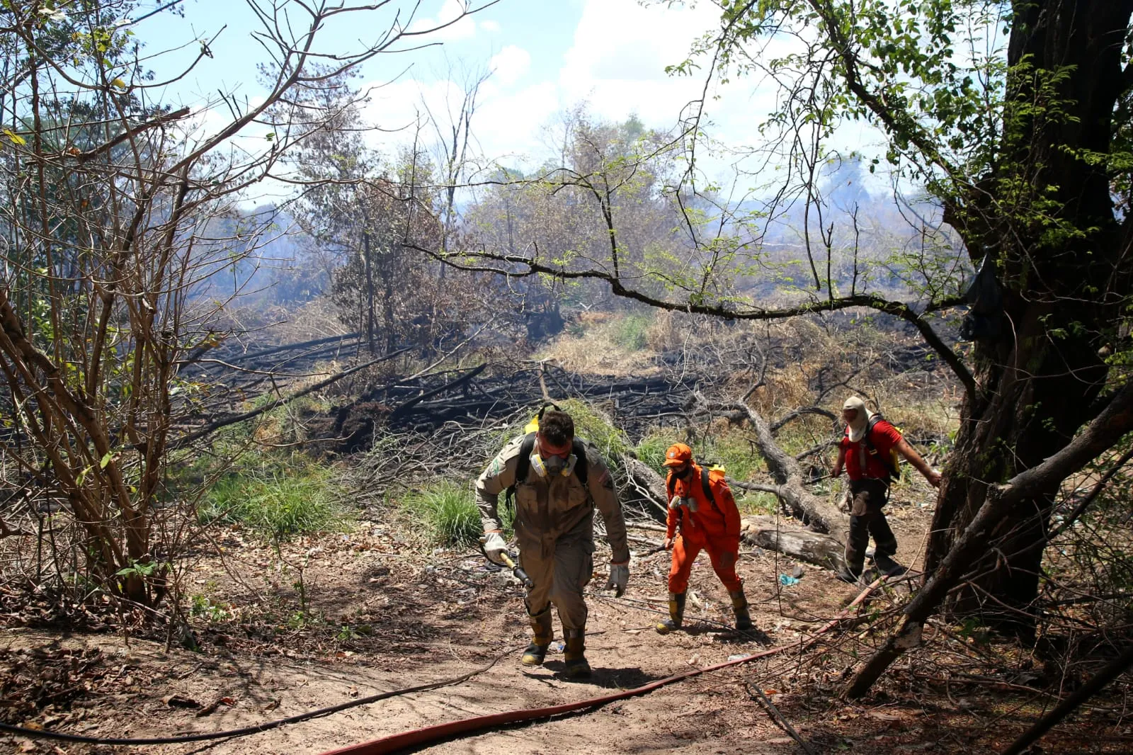 Incêndio no Parque do Cocó foi controlado, mas equipes atuam para evitar o retorno do fogo