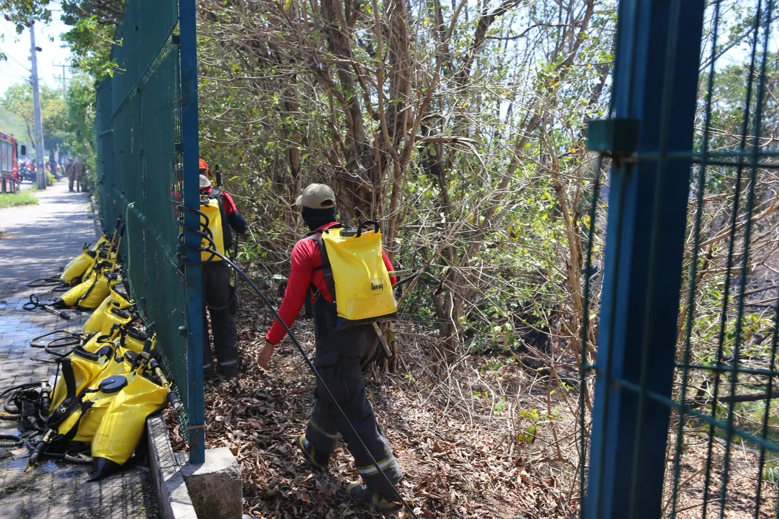 Incêndio no Parque do Cocó foi controlado, mas equipes atuam para evitar o retorno do fogo