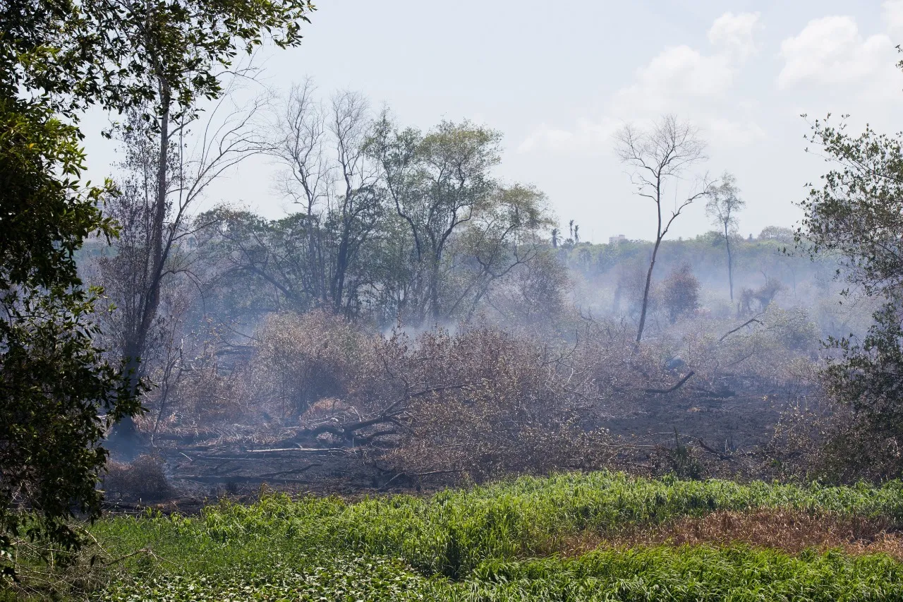 Incêndio no Parque do Cocó foi controlado, mas equipes atuam para evitar o retorno do fogo