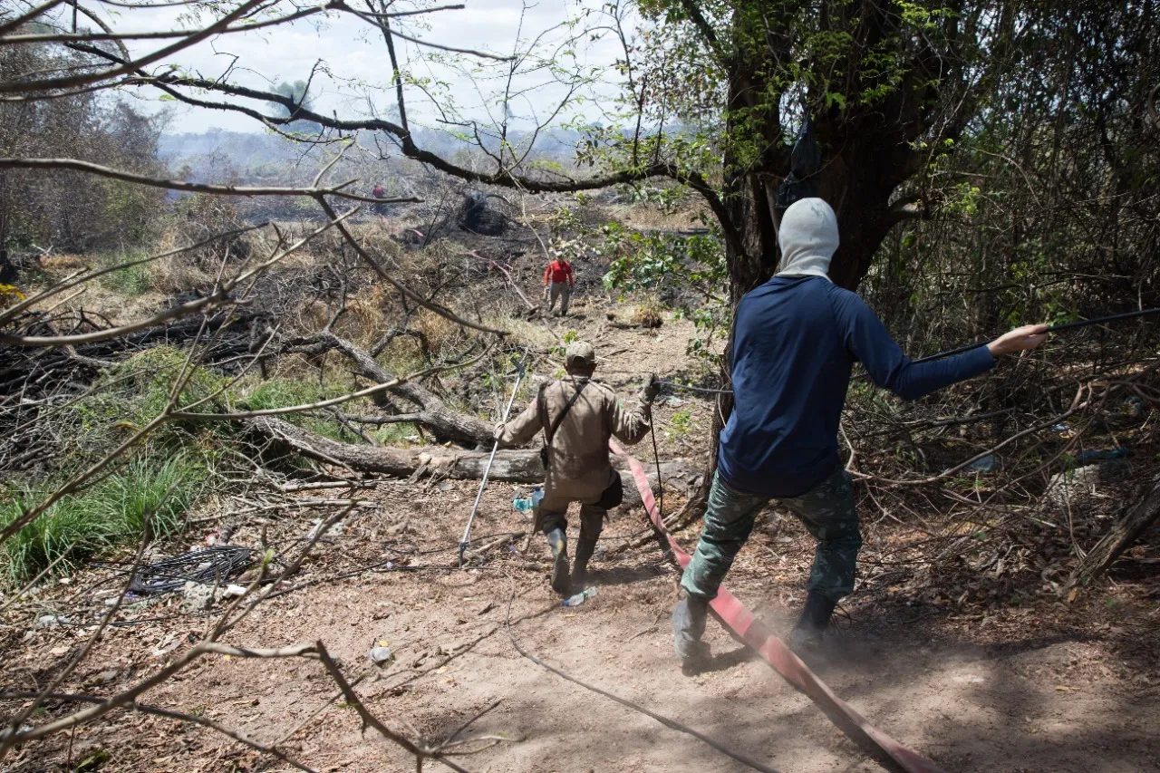 Incêndio no Parque do Cocó foi controlado, mas equipes atuam para evitar o retorno do fogo