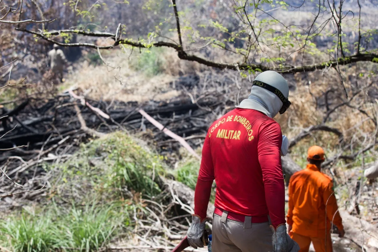 Incêndio no Parque do Cocó foi controlado, mas equipes atuam para evitar o retorno do fogo