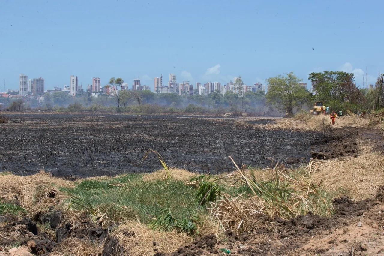 Incêndio no Parque do Cocó foi controlado, mas equipes atuam para evitar o retorno do fogo