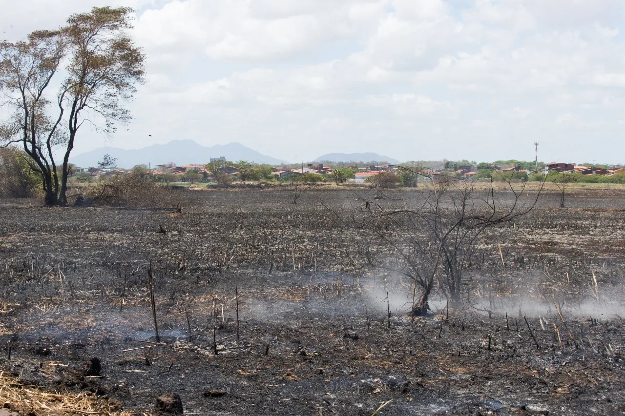 Incêndio no Parque do Cocó foi controlado, mas equipes atuam para evitar o retorno do fogo