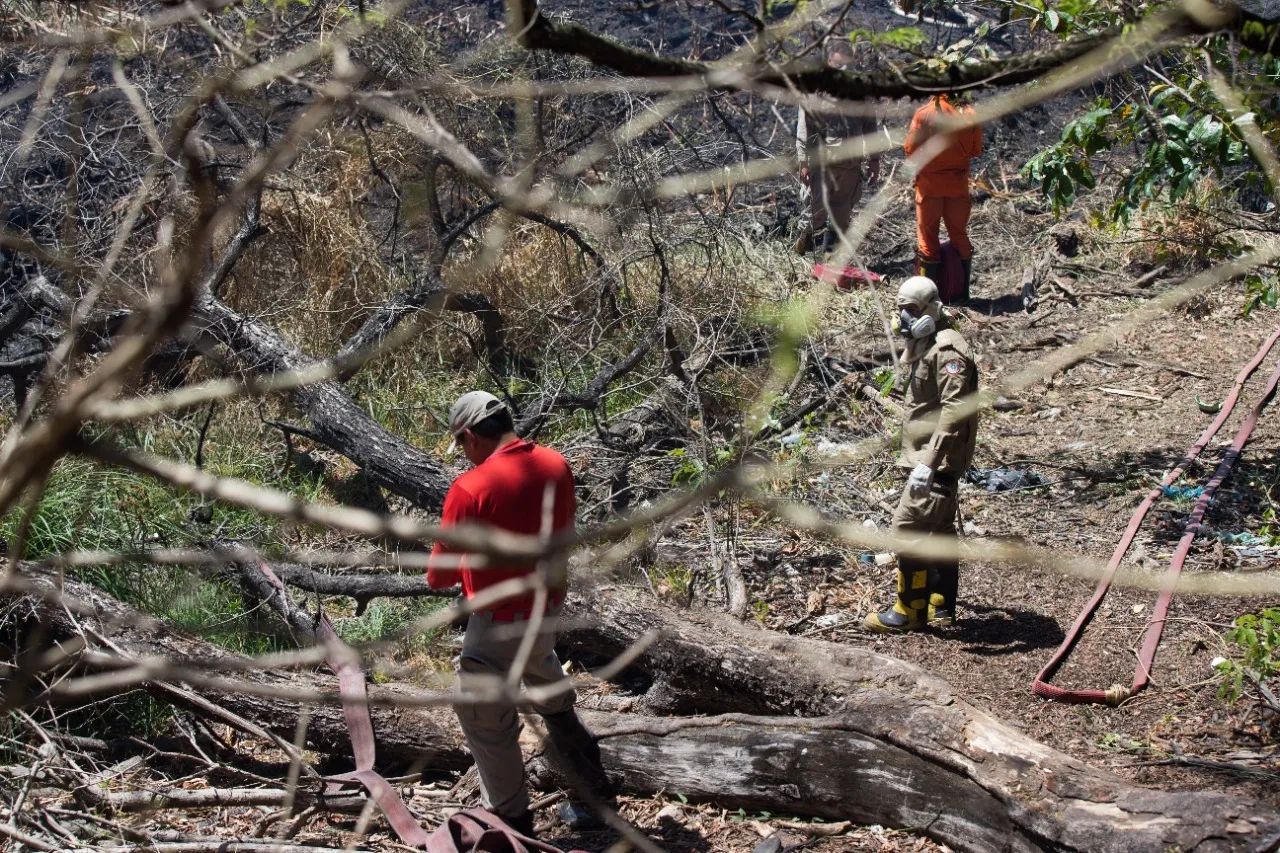 Incêndio no Parque do Cocó foi controlado, mas equipes atuam para evitar o retorno do fogo