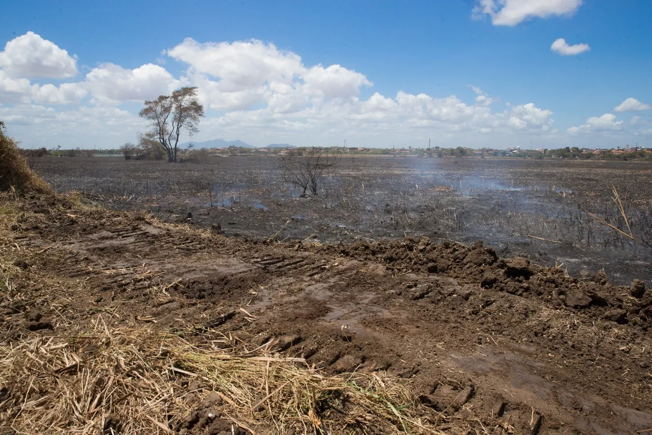 Incêndio no Parque do Cocó foi controlado, mas equipes atuam para evitar o retorno do fogo