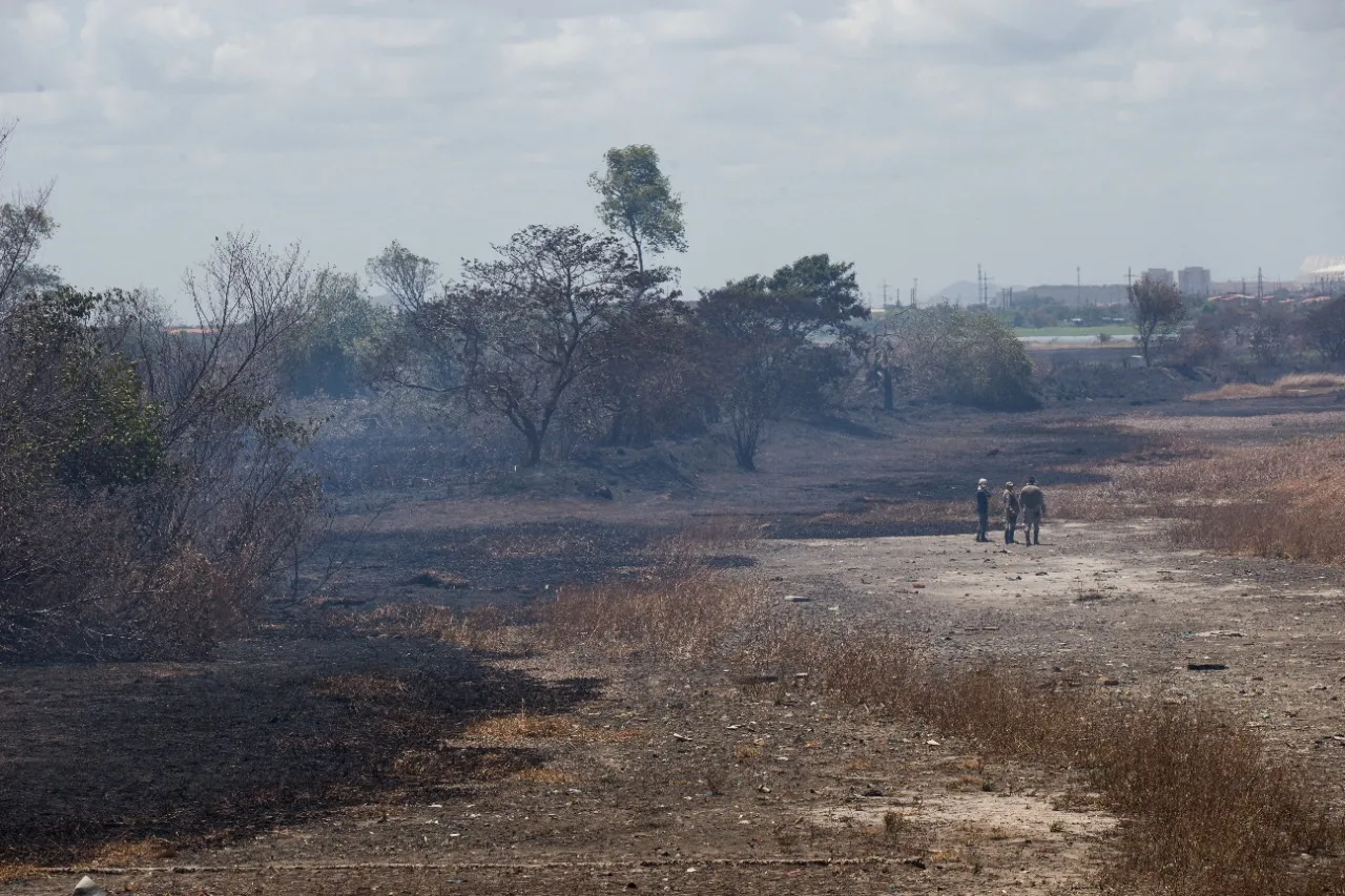 Incêndio no Parque do Cocó foi controlado, mas equipes atuam para evitar o retorno do fogo