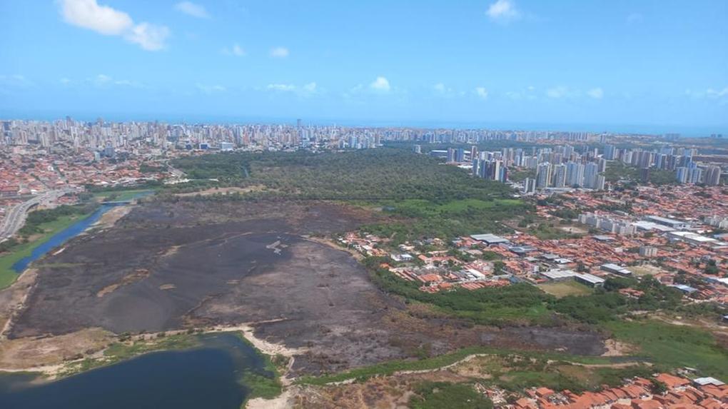 Imagem aérea mostra área do Parque Estadual do Cocó devastada pelo fogo.