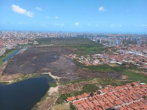 Imagem aérea mostra área do Parque Estadual do Cocó devastada pelo fogo.