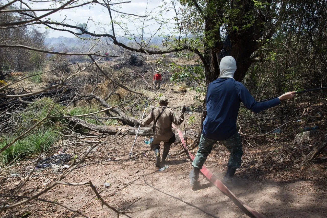 Bombeiros realizam estratégia para evitar novos focos de incêndio
