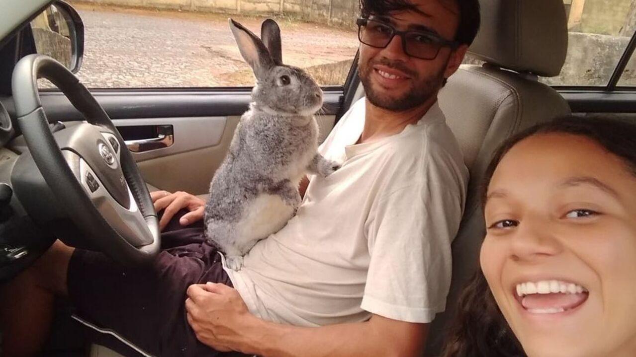 Casal dentro de carro. no colo do homem há um coelho de cor cinza
