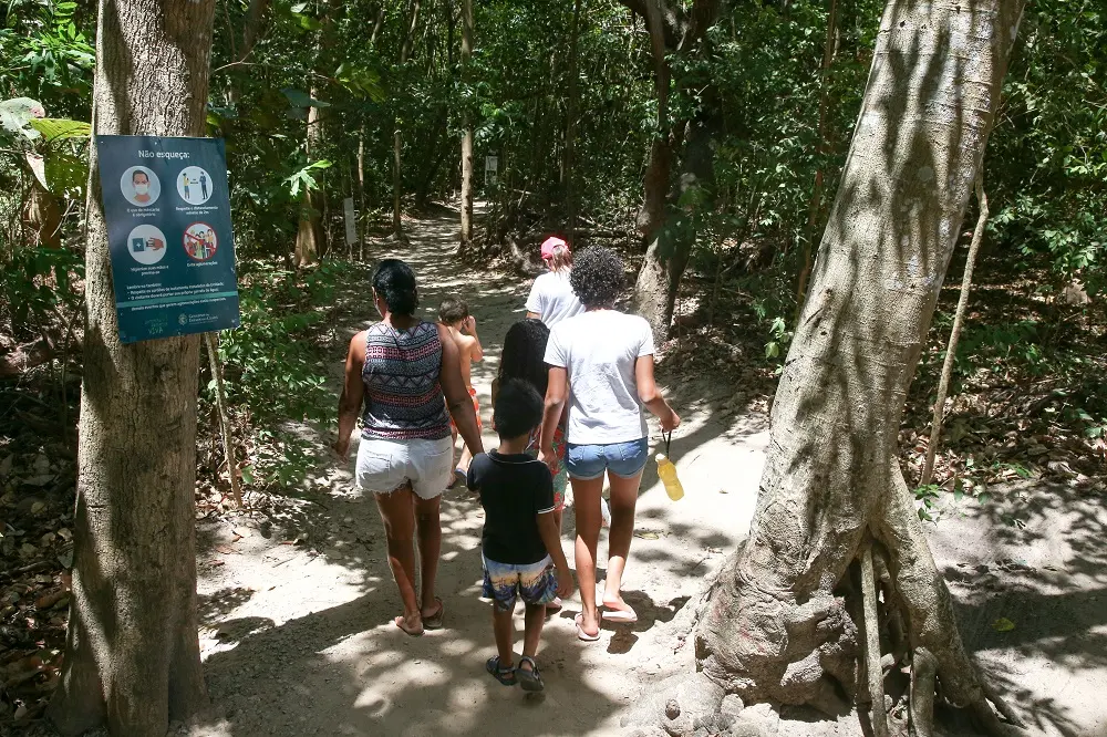 Parede de escalada, oficinas de plantas, distribuição de mudas e recreação infantil ao todo podem ser encontradas na Floresta do Curió