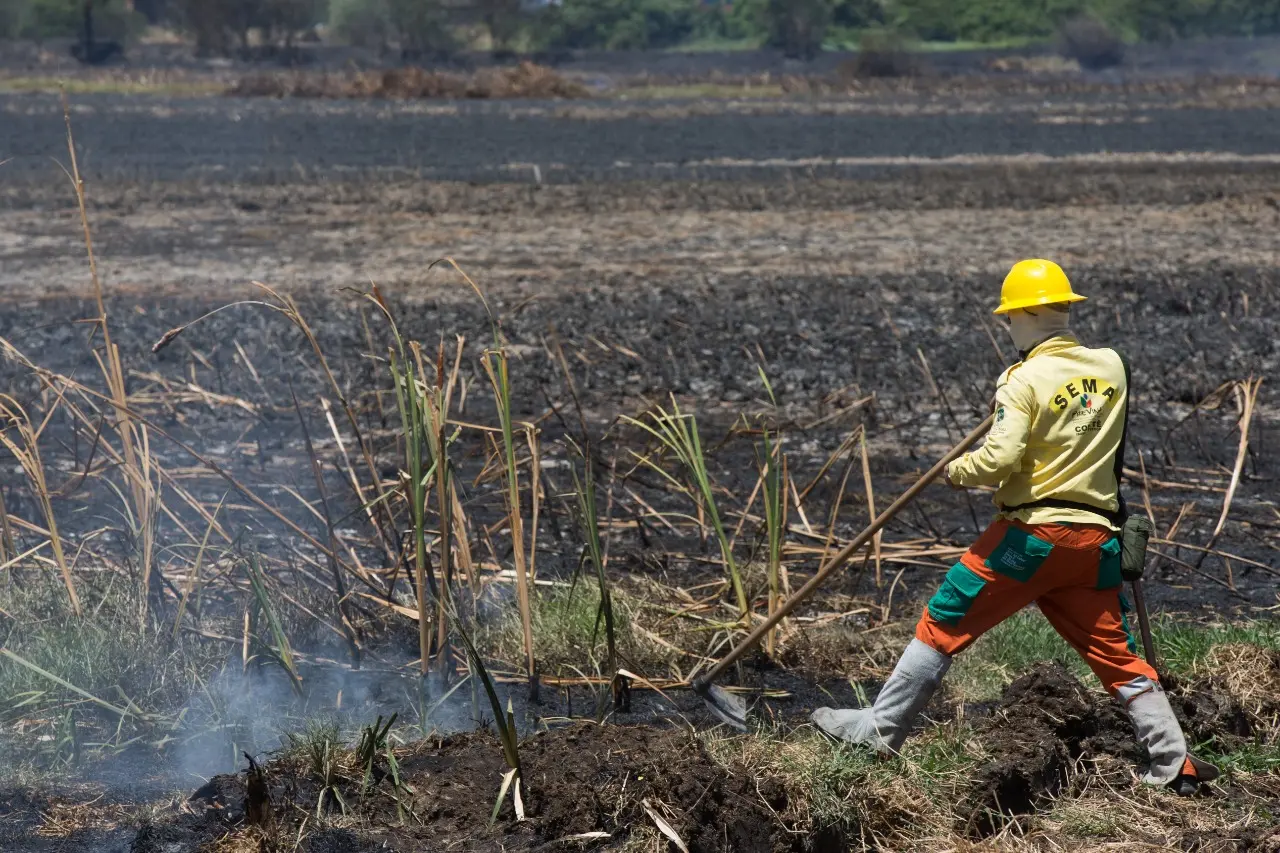 Incêndio no Cocó