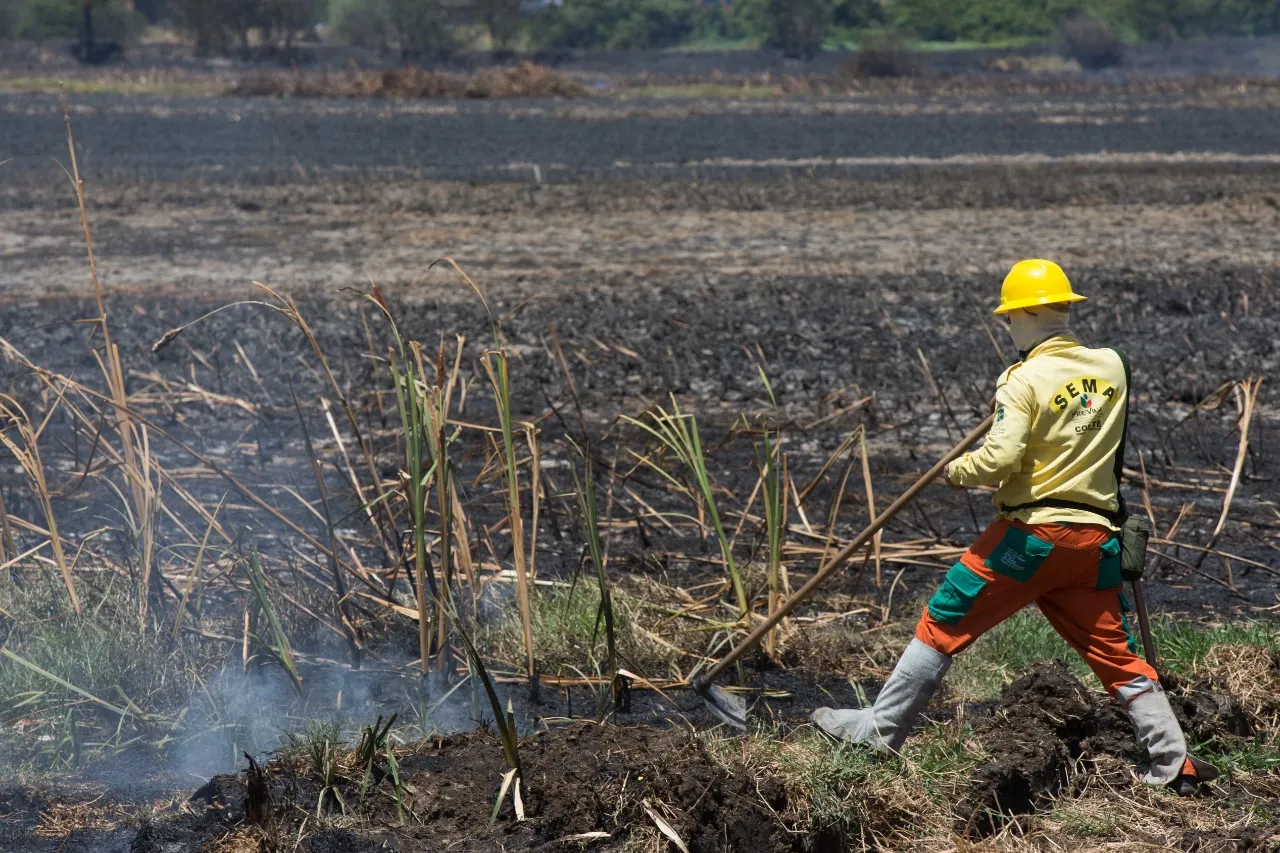 Incêndio no Cocó teve abrangência de cerca de 46 hectares