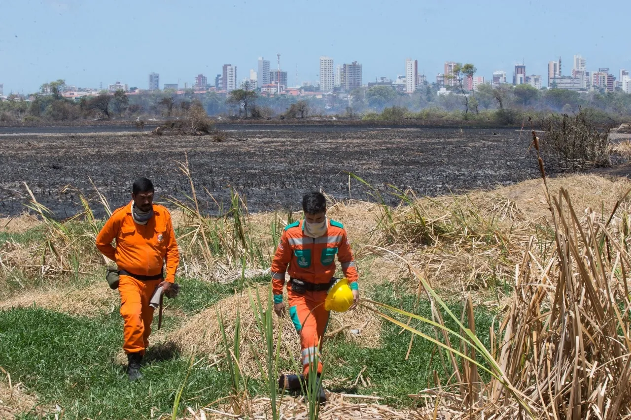 Controle do fogo envolveu bombeiros, brigadistas e voluntários