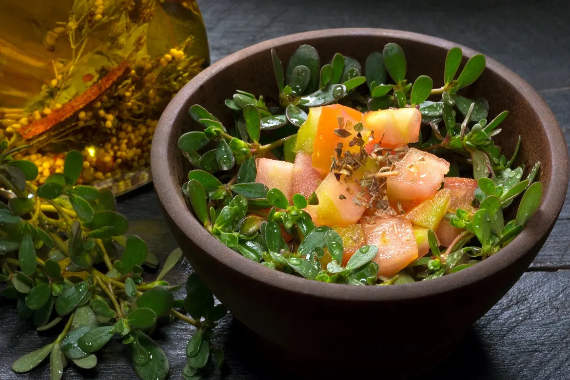 Consumo da beldroega