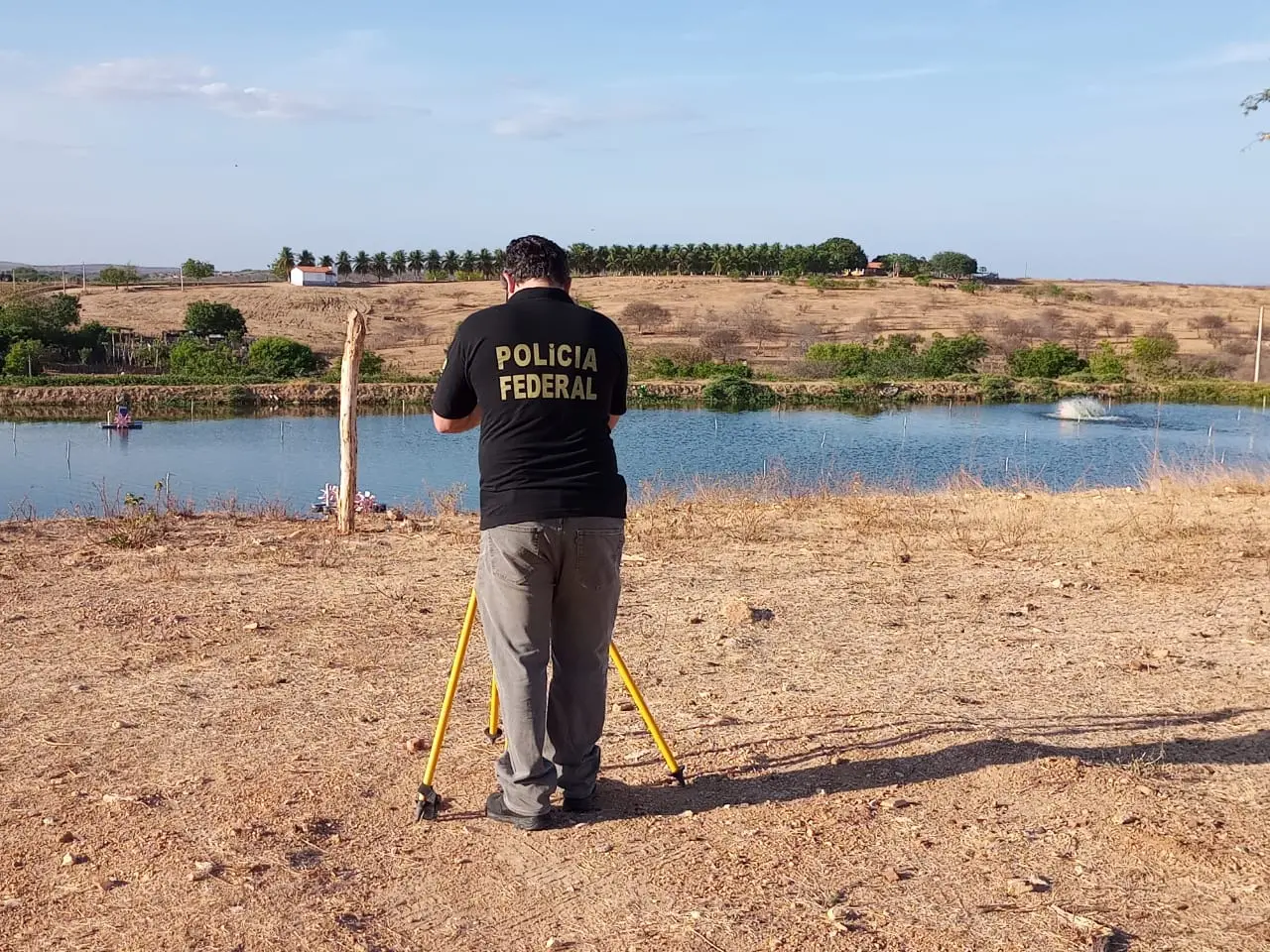 operação frenesi 2