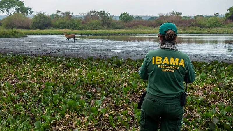 Concurso público Ibama 2021