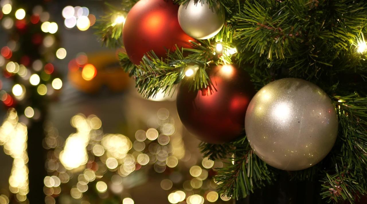 Árvore de Natal, o verdadeiro significado nas celebrações de final de ano