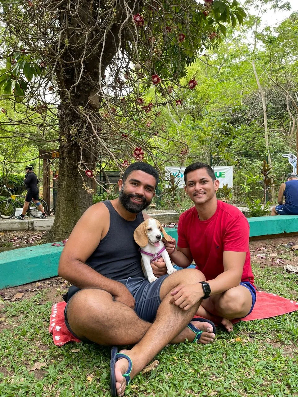 Para Marcos, fazer o plano de saúde para a beagle Gloria não compensou