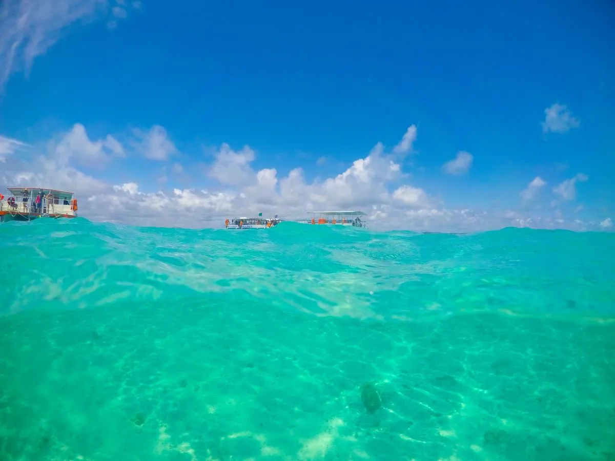 As piscinas naturais, com águas cristalinas, são cartão-postal de Maragogi