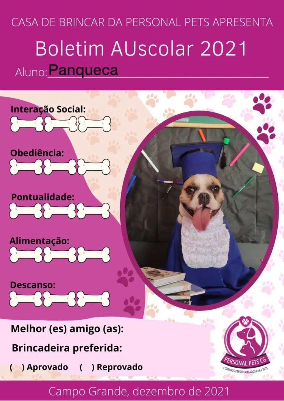 A imagem mostra o boletim de um cachorro hospedado numa creche de Campo Grande.