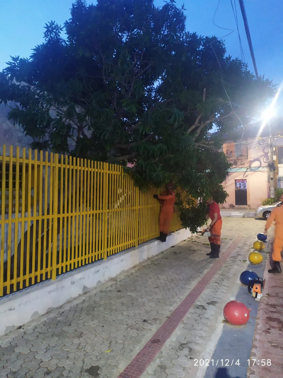 Equipe usa ferramentas como serras para remover os troncos que caem durante a ventania