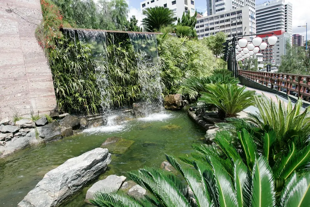 O Jardim Japonês é perfeito para passar o fim de tarde com amigos ou com a família, entre conversas.
