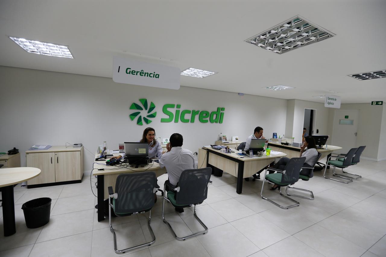 Sicredi lança jogo que ensina educação financeira e cooperativa - Portal  ClienteSA