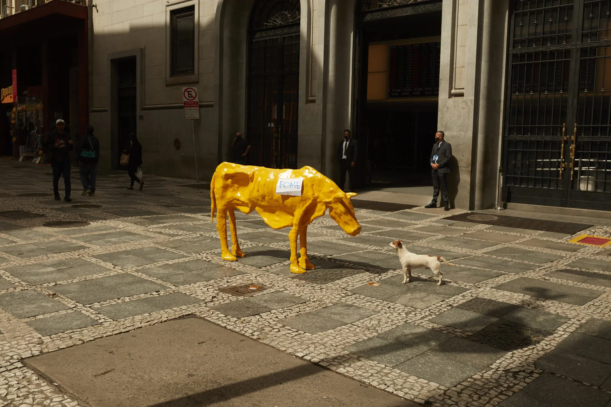 Cachorro contempla obra 