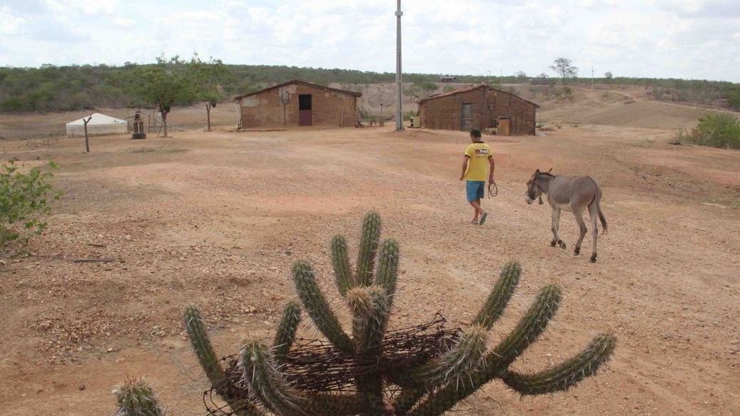 Homem caminha com jumento em direção a casa com cisterna no interior do Ceará