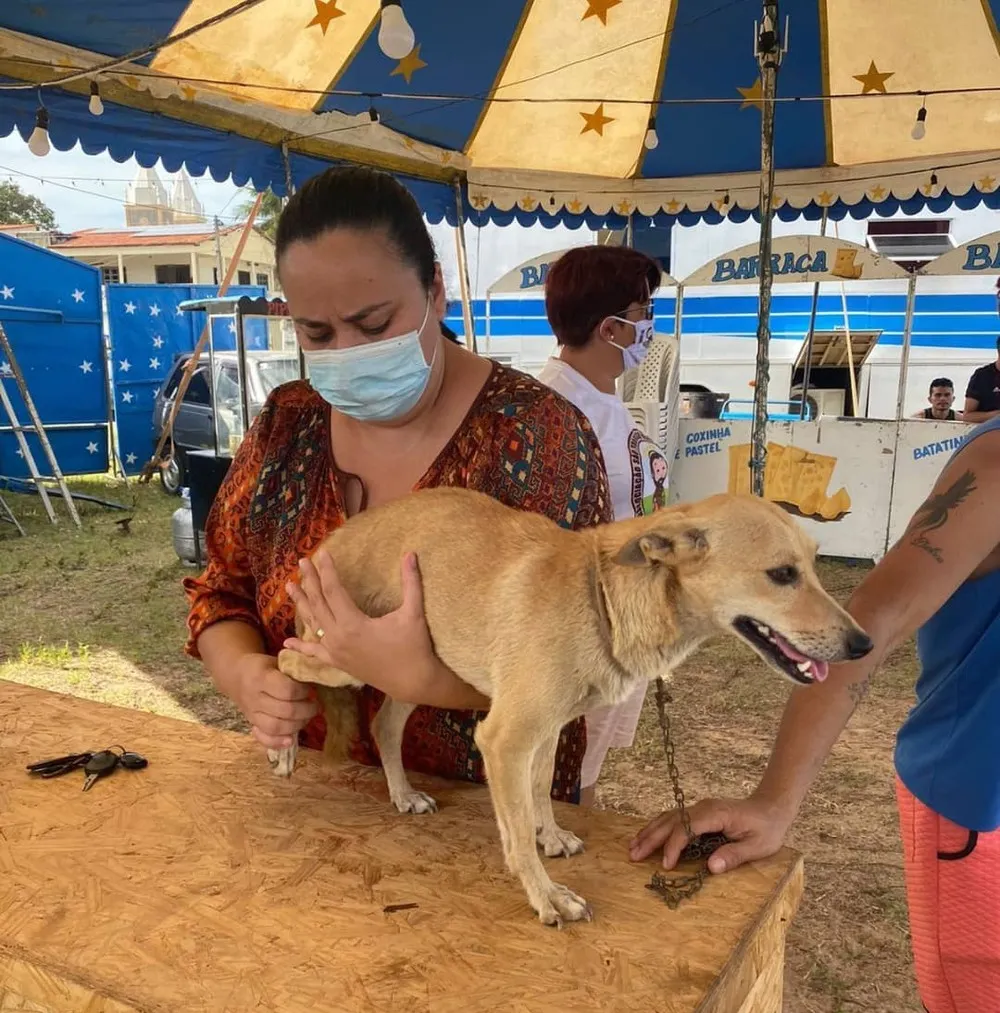 O cachorro que aparece no vídeo e outros animais foram examinados pela equipe veterinária da prefeitura e passam bem