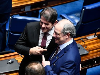 Ciro e Cid Gomes no Senado