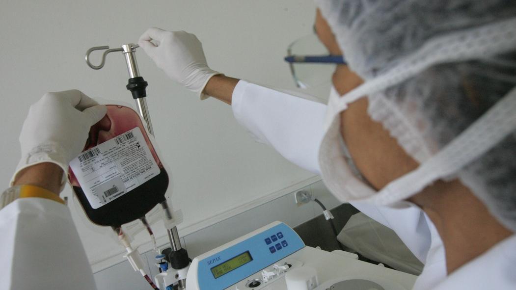 Transplante de Medula Óssea