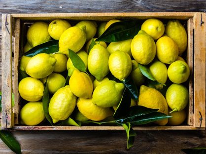 Limões em uma cesta