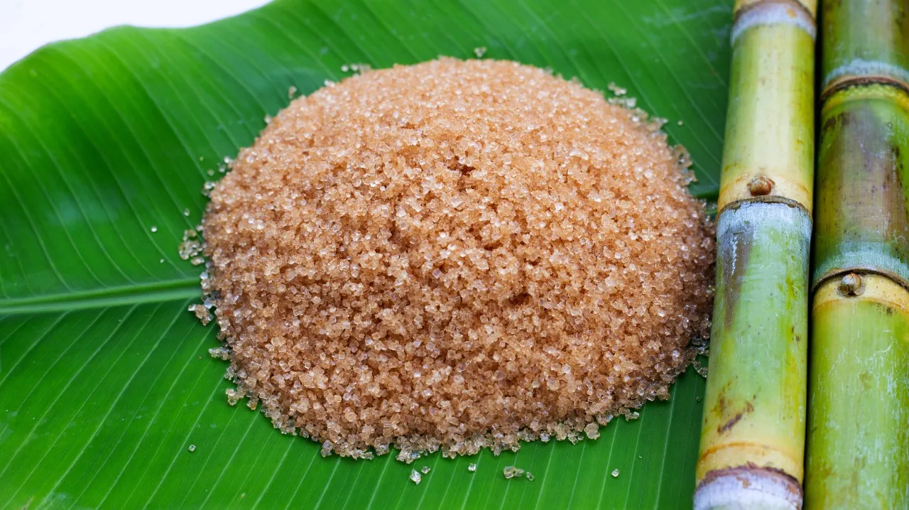 O demerara é extraído logo após o cozimento do caldo da cana