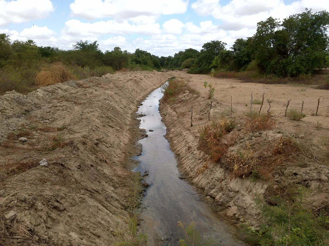 A água do canal que estava sendo desviada se destina a dessedentação de animais em 22 propriedades na região