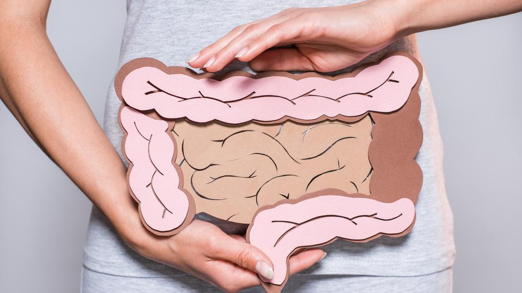 Imagem de uma mulher segurando um papel que representa o intestino grosso sobre fundo cinza