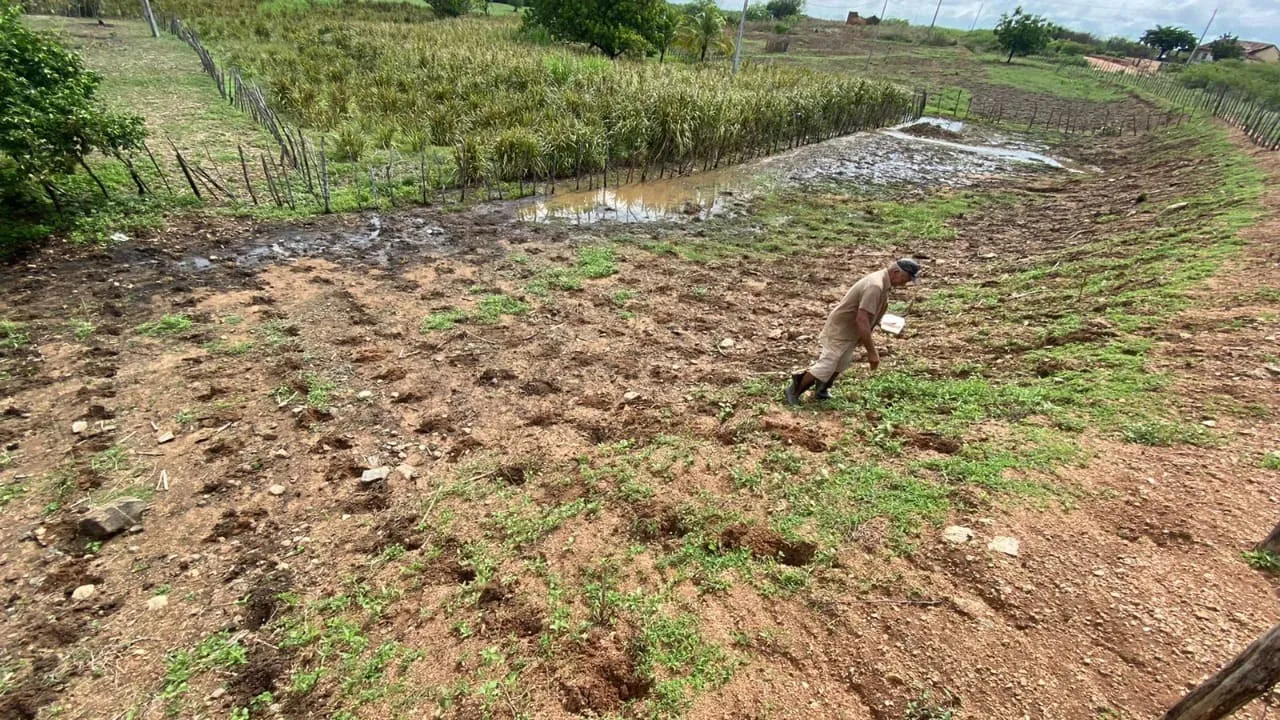 Chuvas animam agricultores que já começam a preparar a terra para o plantio