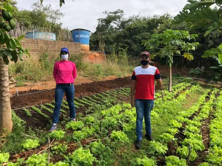 Técnicos da Ematerce do escritório de Nova Olinda (CE) fazendo inspeção técnica nas hortaliças orgânicas,
