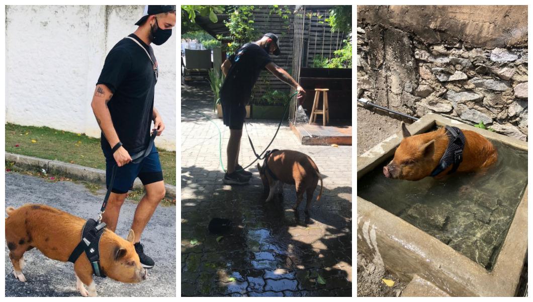 Porquinha Smokey e Matheus Pinheiro