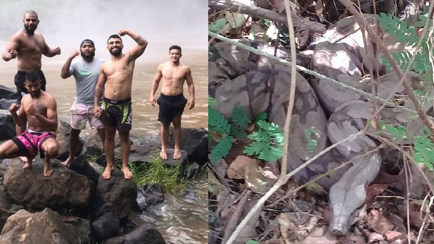 Sucuri gigante aparece durante passeio de lutadores de MMA em cachoeira