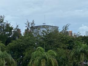Céu nublado e árvores de Fortaleza em dia de chuva