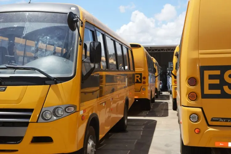 Diversos ônibus escolares estacionados