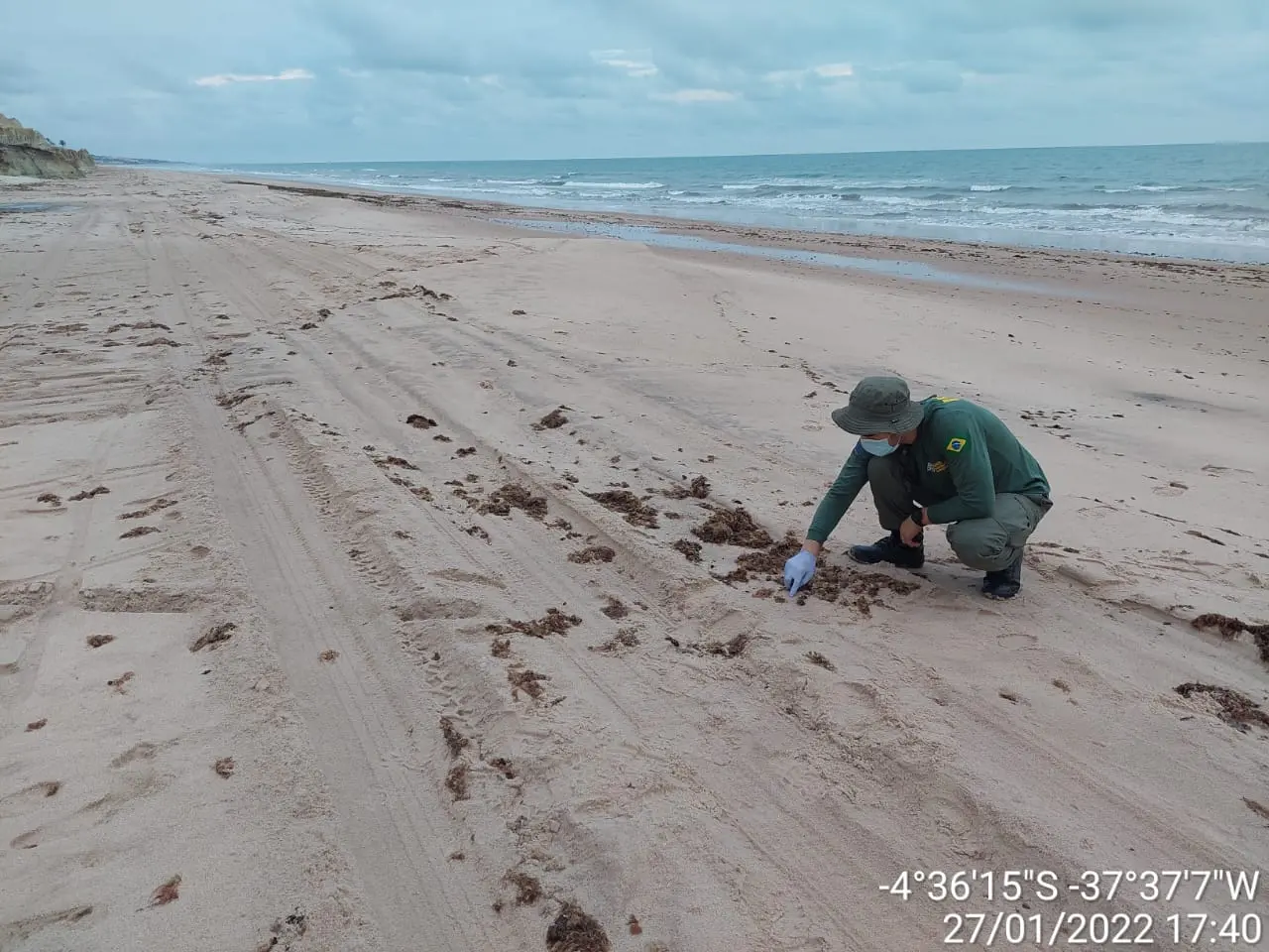 funcionário do ibama agachado fazendo vistoria na praia