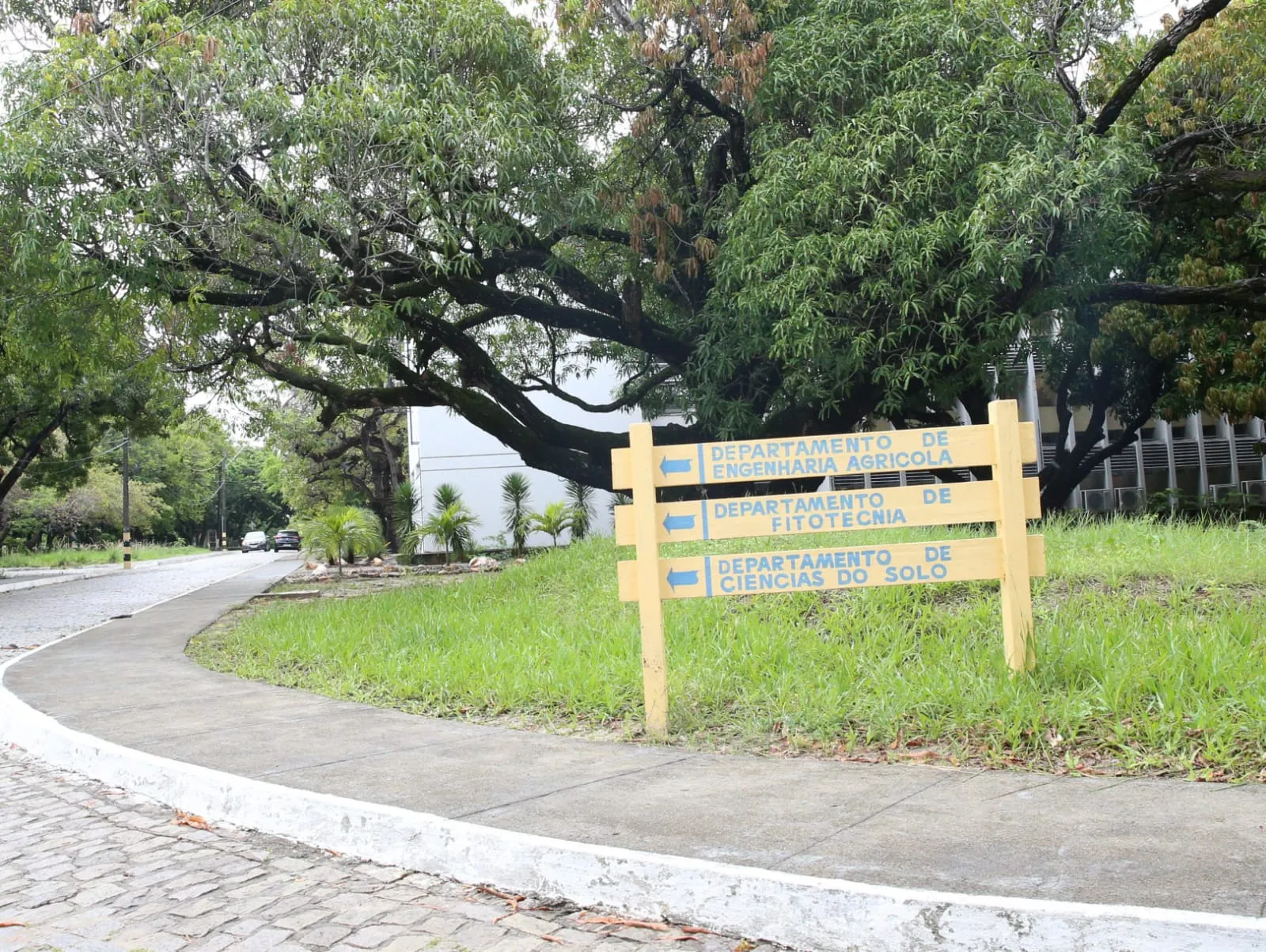 Movimentação nas ruas internas e corredores do Campus do Pici, da UFC, deve retornar em março