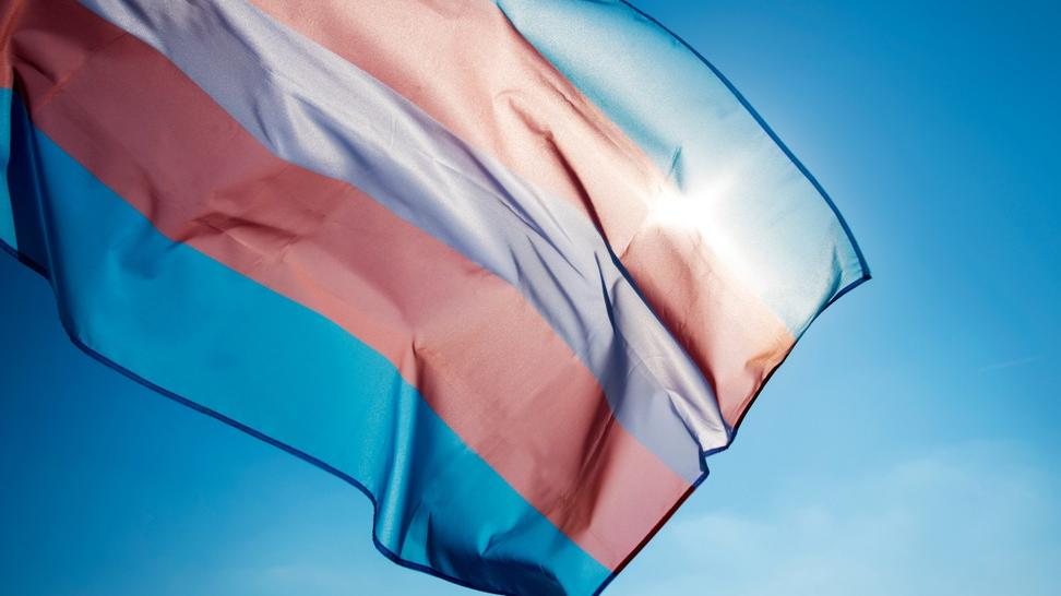 Bandeira azul, rosa e branco que representa a comunidade de travestis, pessoas não binárias e mulheres e homens transexuais.