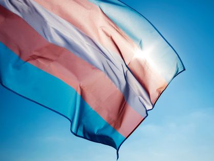 Bandeira azul, rosa e branco que representa a comunidade de travestis, pessoas não binárias e mulheres e homens transexuais.