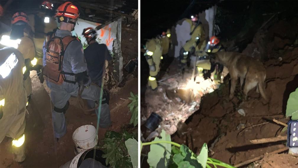 bombeiros e cão farejador trabalhando nas buscas durante a noite