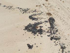 pedaços de vestígios oelosos na faixa de areia